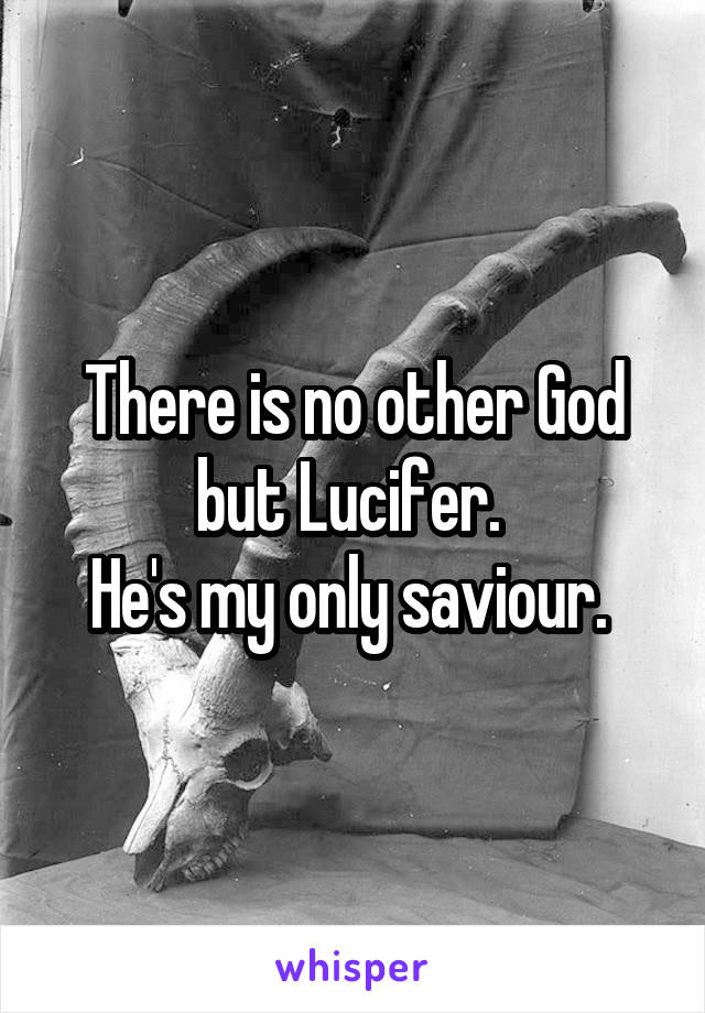 There is no other God but Lucifer. 
He's my only saviour. 