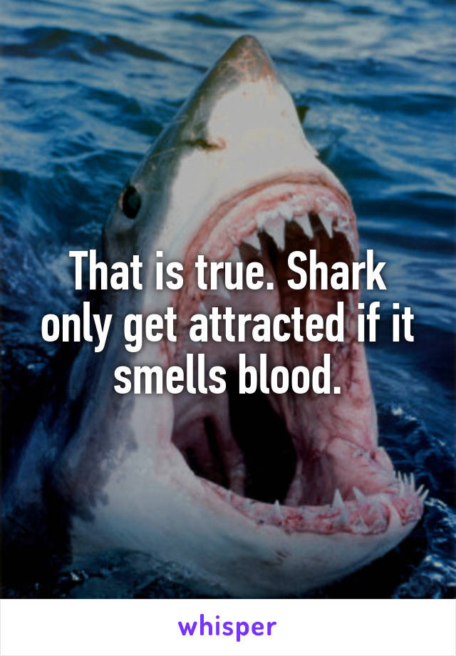 That is true. Shark only get attracted if it smells blood.