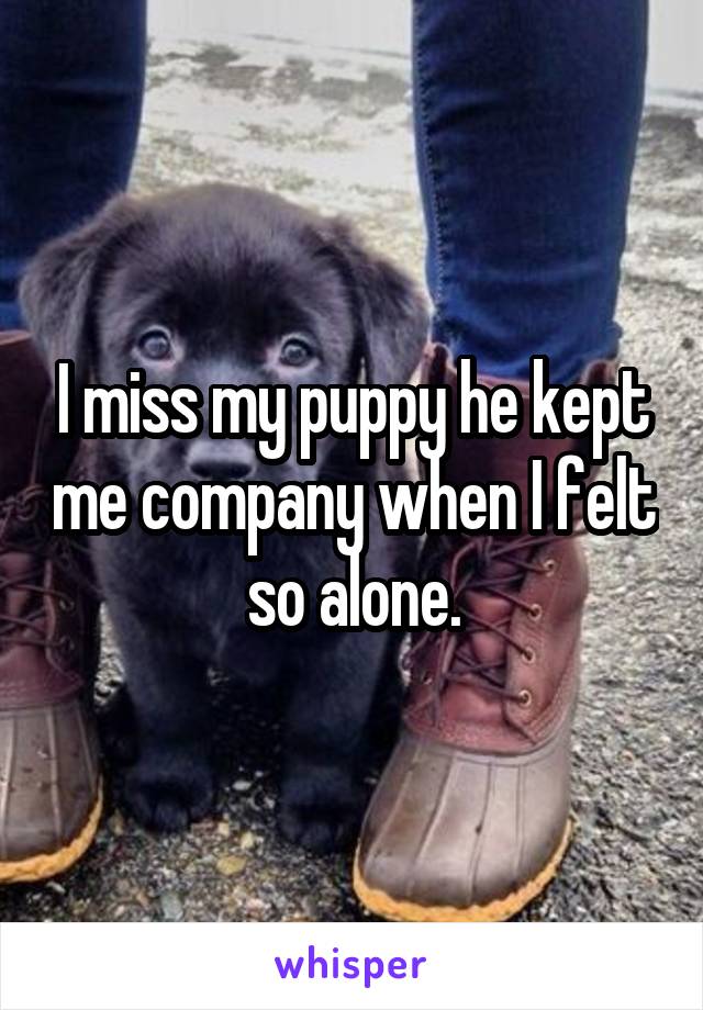 I miss my puppy he kept me company when I felt so alone.