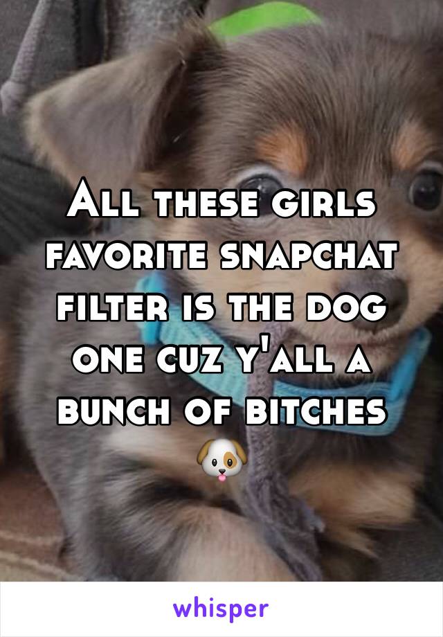 All these girls favorite snapchat filter is the dog one cuz y'all a bunch of bitches 
🐶