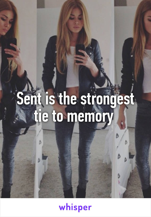 Sent is the strongest tie to memory 