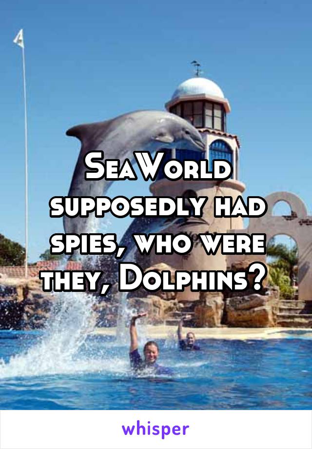 SeaWorld supposedly had spies, who were they, Dolphins? 
