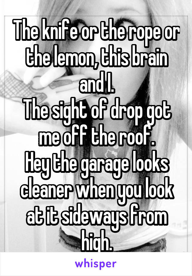 The knife or the rope or the lemon, this brain and I.
The sight of drop got me off the roof.
Hey the garage looks cleaner when you look at it sideways from high.