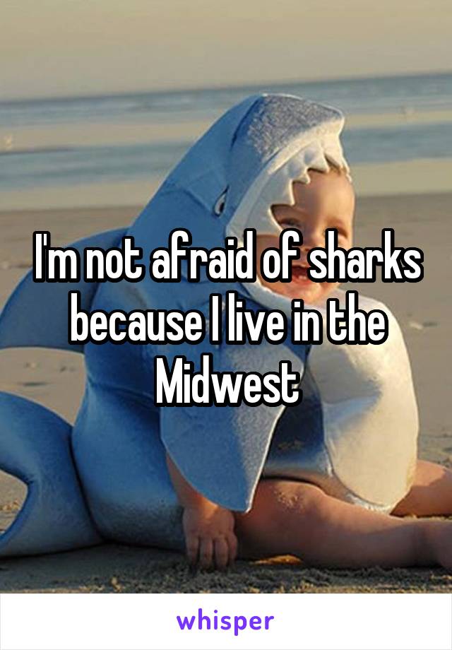 I'm not afraid of sharks because I live in the Midwest