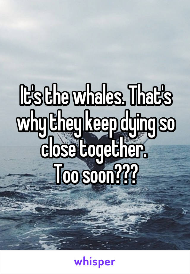 It's the whales. That's why they keep dying so close together. 
Too soon???