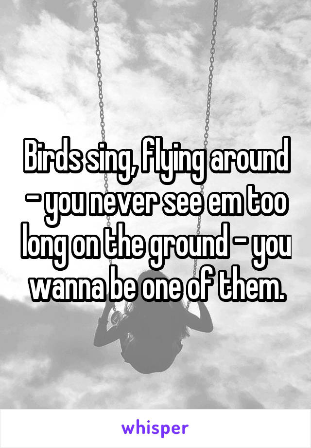 Birds sing, flying around - you never see em too long on the ground - you wanna be one of them.