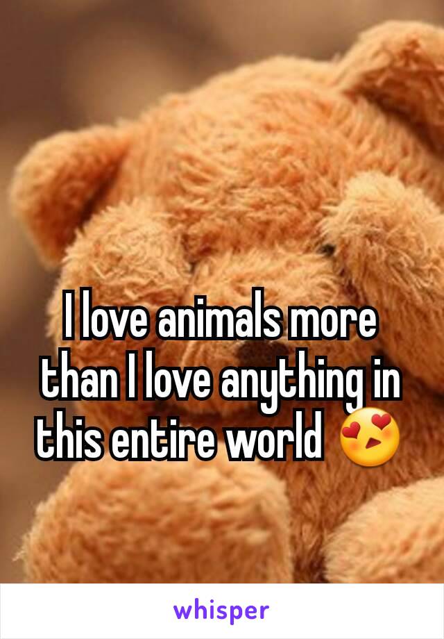 I love animals more than I love anything in this entire world 😍