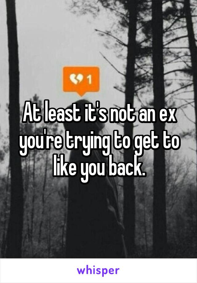 At least it's not an ex you're trying to get to like you back.