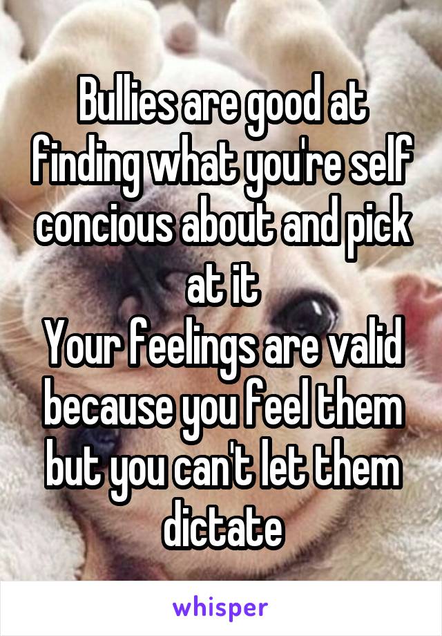 Bullies are good at finding what you're self concious about and pick at it
Your feelings are valid because you feel them but you can't let them dictate