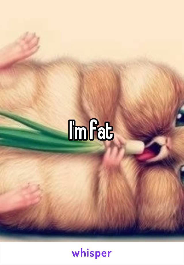 I'm fat 