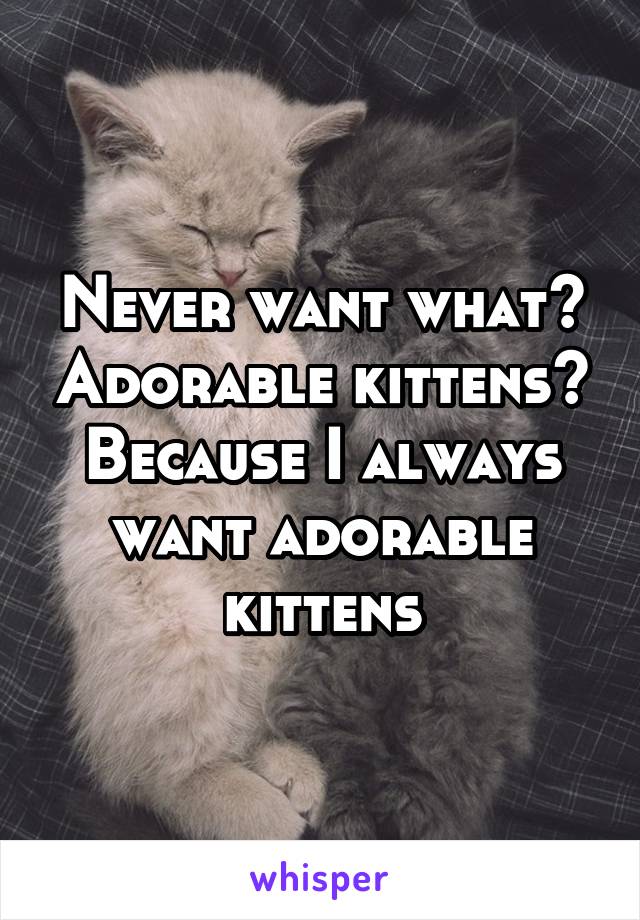 Never want what? Adorable kittens? Because I always want adorable kittens