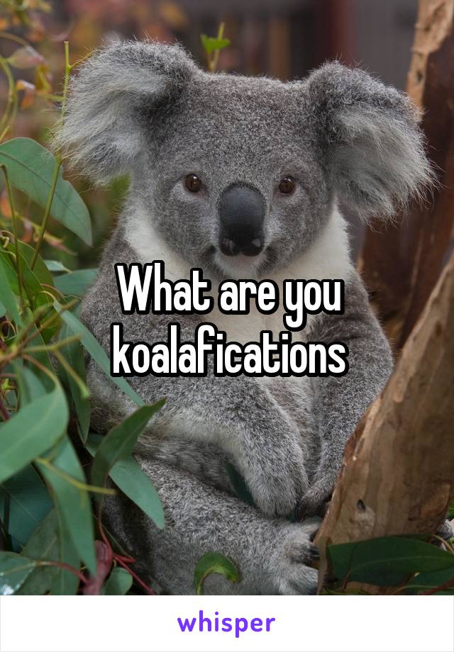 What are you koalafications