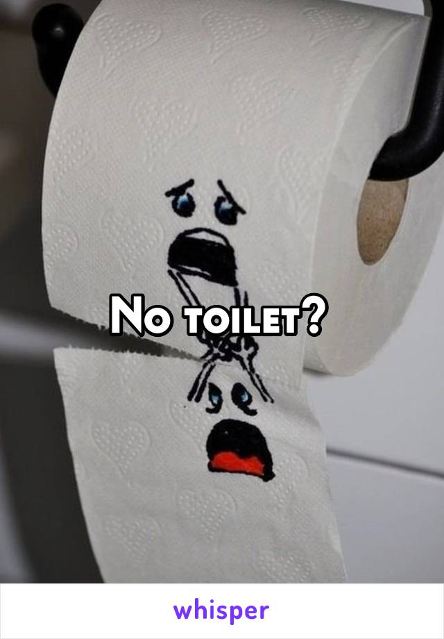 No toilet? 