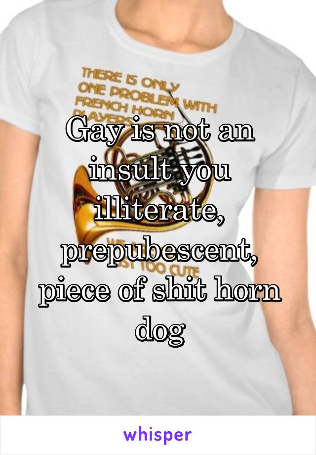 Gay is not an insult you illiterate, prepubescent, piece of shit horn dog