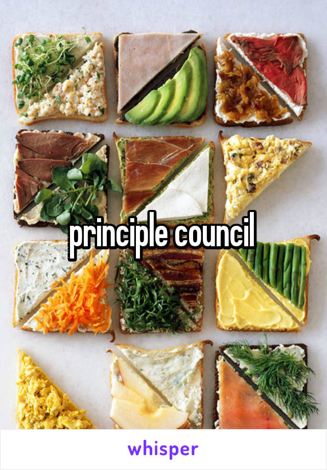 principle council 