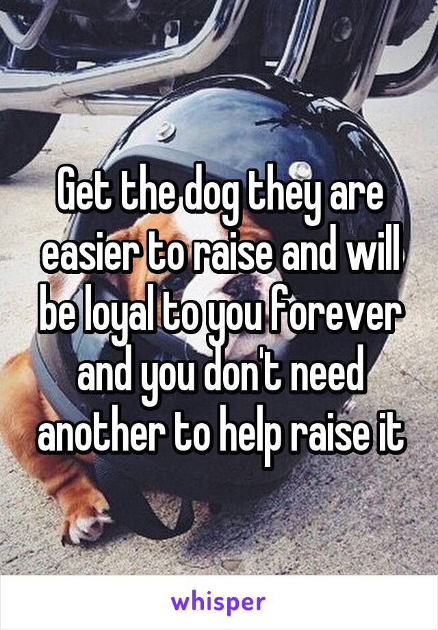 Get the dog they are easier to raise and will be loyal to you forever and you don't need another to help raise it