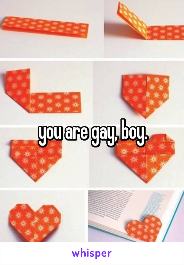 you are gay, boy.