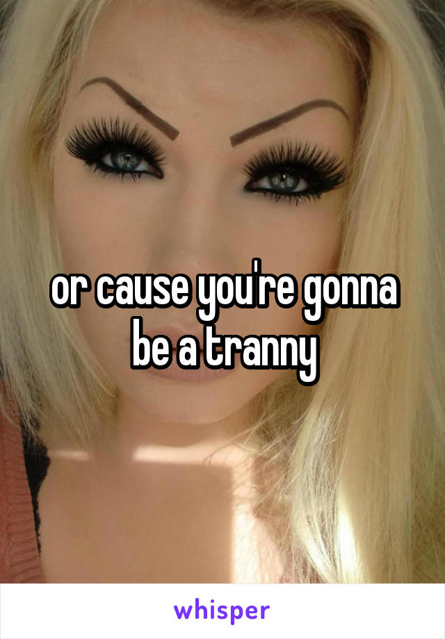 or cause you're gonna be a tranny