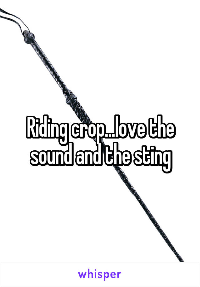 Riding crop...love the sound and the sting