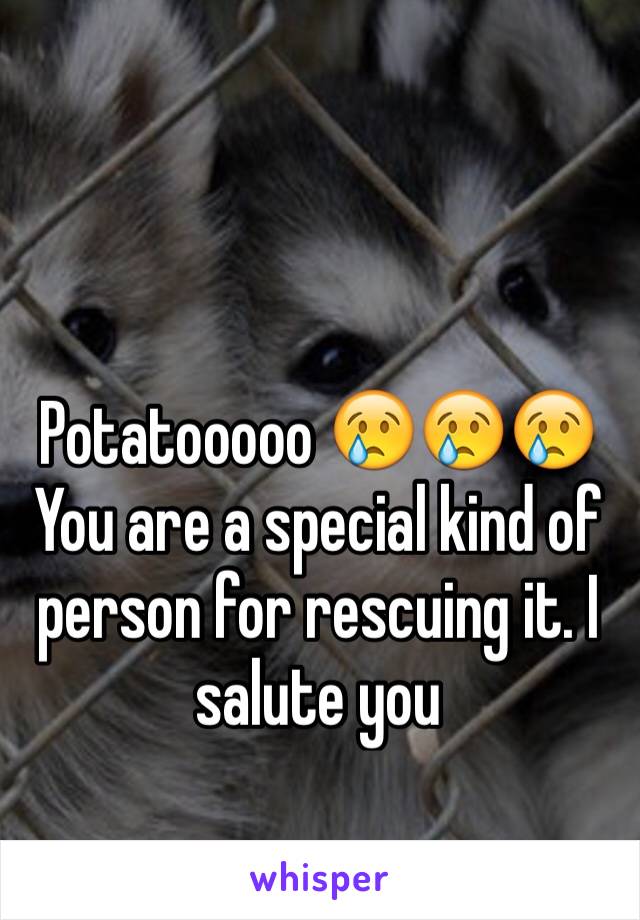 Potatooooo 😢😢😢 
You are a special kind of person for rescuing it. I salute you  