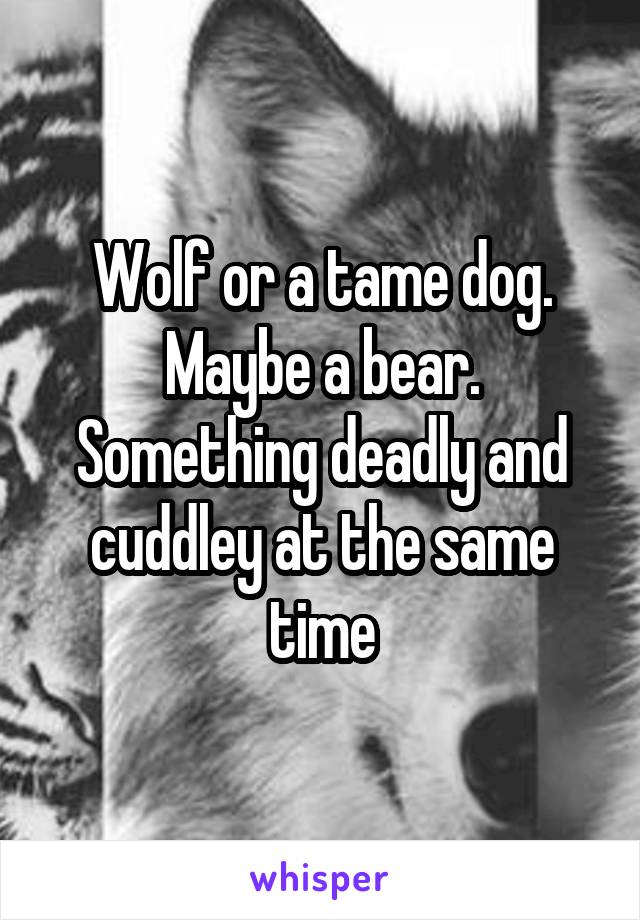 Wolf or a tame dog. Maybe a bear. Something deadly and cuddley at the same time