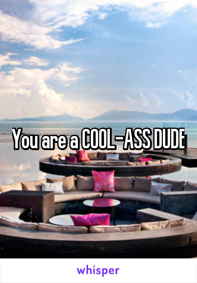 You are a COOL-ASS DUDE