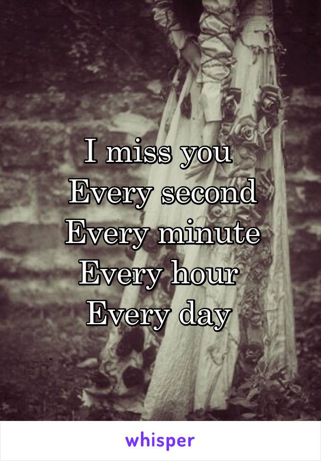 I miss you 
Every second
Every minute
Every hour 
Every day 