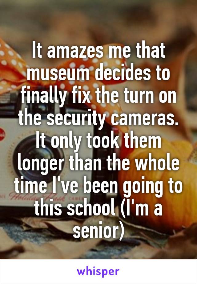 It amazes me that museum decides to finally fix the turn on the security cameras. It only took them longer than the whole time I've been going to this school (I'm a senior)