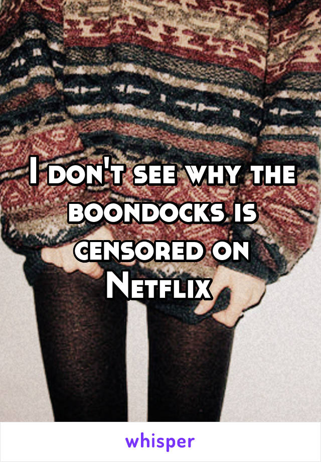 I don't see why the boondocks is censored on Netflix 