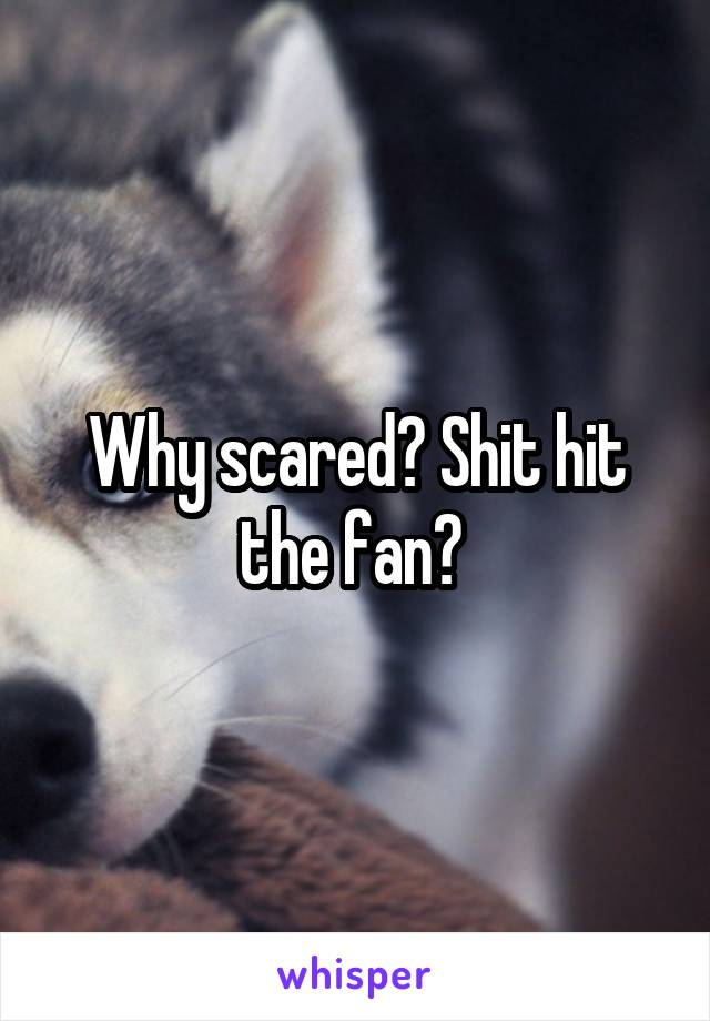 Why scared? Shit hit the fan? 