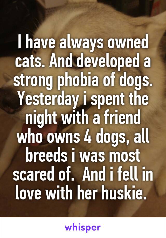 I have always owned cats. And developed a strong phobia of dogs. Yesterday i spent the night with a friend who owns 4 dogs, all breeds i was most scared of.  And i fell in love with her huskie. 