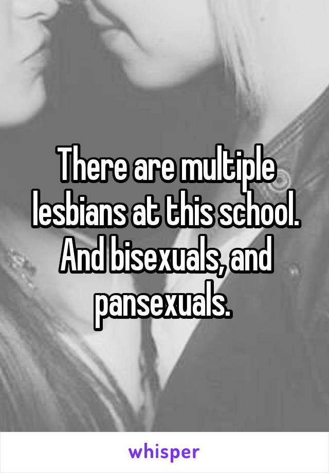 There are multiple lesbians at this school. And bisexuals, and pansexuals. 