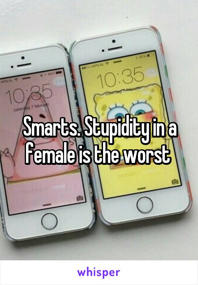 Smarts. Stupidity in a female is the worst 