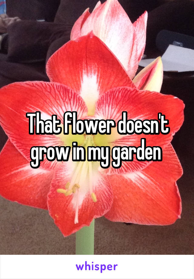 That flower doesn't grow in my garden 