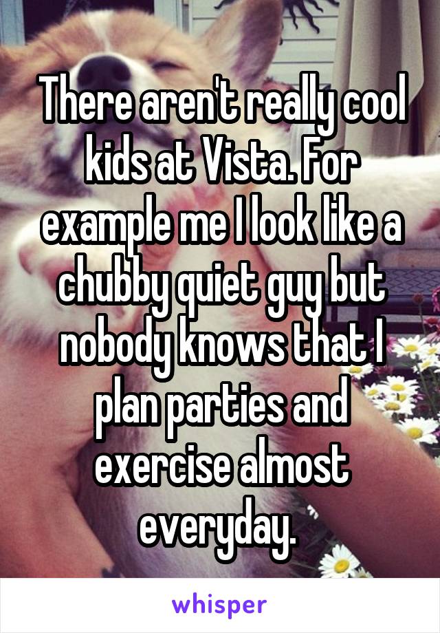 There aren't really cool kids at Vista. For example me I look like a chubby quiet guy but nobody knows that I plan parties and exercise almost everyday. 