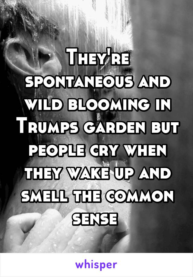 They're spontaneous and wild blooming in Trumps garden but people cry when they wake up and smell the common sense 