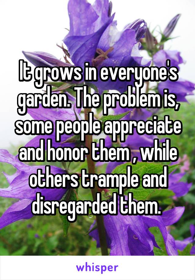 It grows in everyone's garden. The problem is, some people appreciate and honor them , while others trample and disregarded them. 