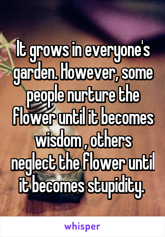 It grows in everyone's garden. However, some people nurture the flower until it becomes wisdom , others neglect the flower until it becomes stupidity. 