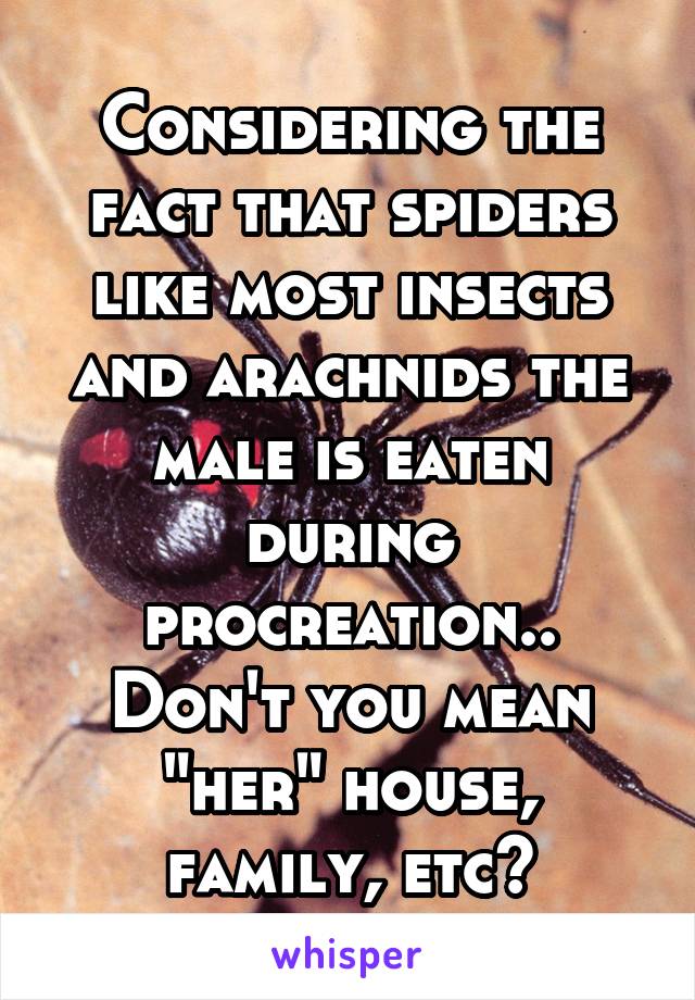Considering the fact that spiders like most insects and arachnids the male is eaten during procreation.. Don't you mean "her" house, family, etc?