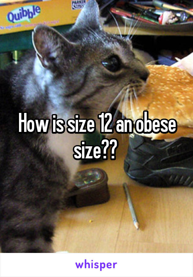 How is size 12 an obese size?? 