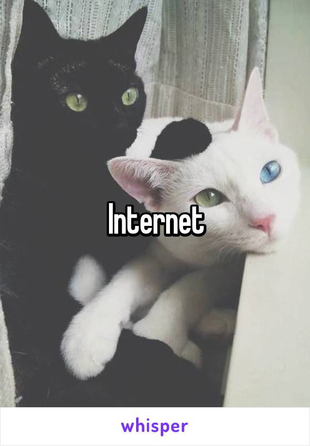 Internet