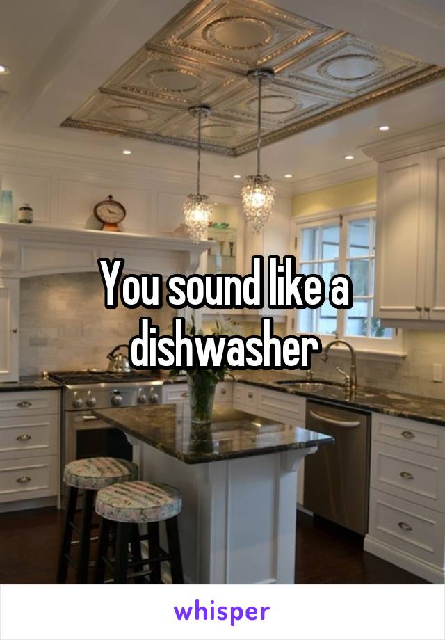 You sound like a dishwasher