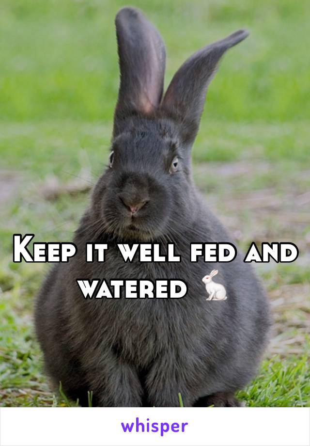 Keep it well fed and  watered 🐇