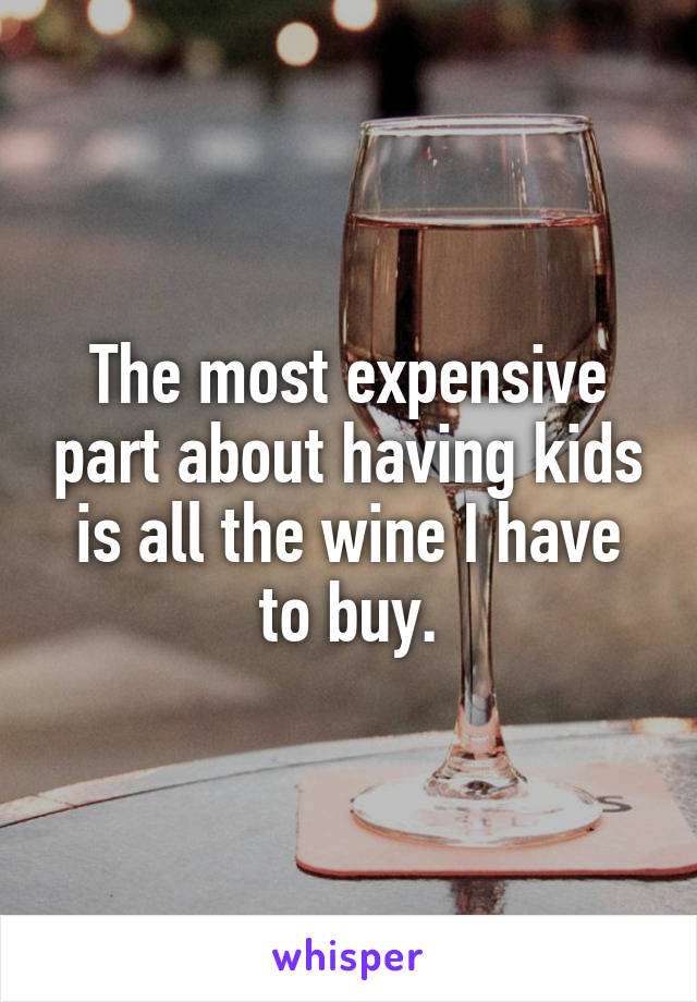The most expensive part about having kids is all the wine I have to buy.