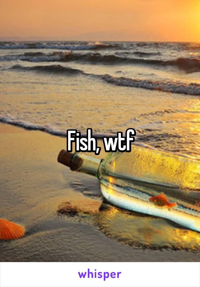 Fish, wtf