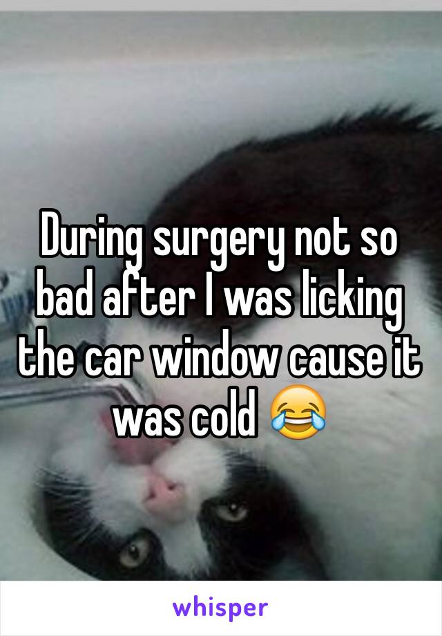 During surgery not so bad after I was licking the car window cause it was cold 😂