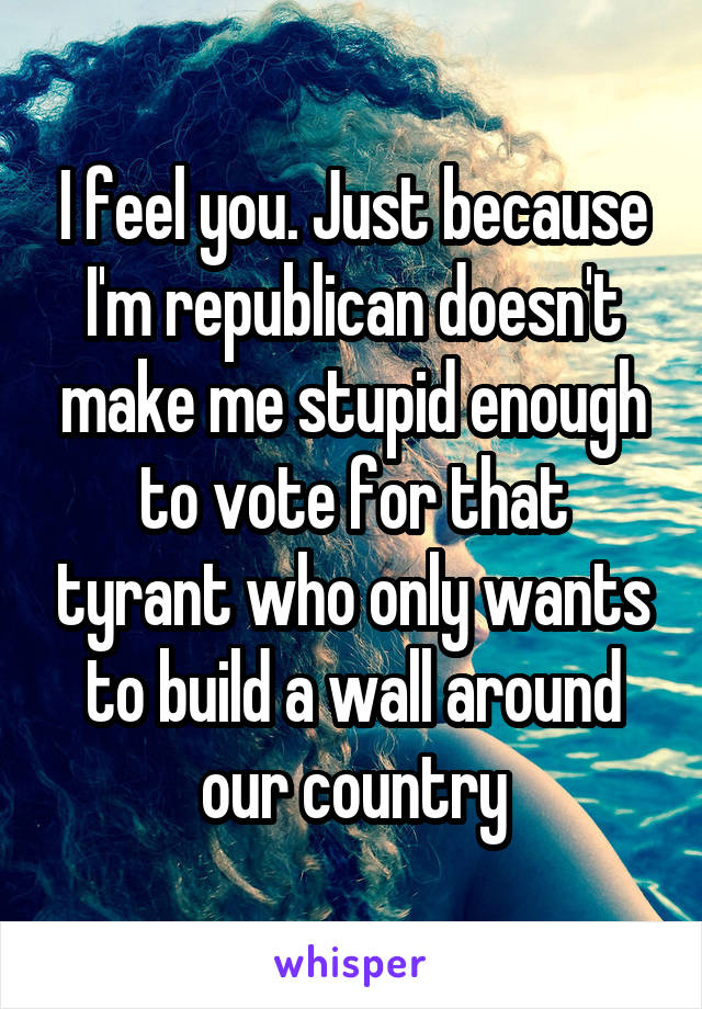 I feel you. Just because I'm republican doesn't make me stupid enough to vote for that tyrant who only wants to build a wall around our country