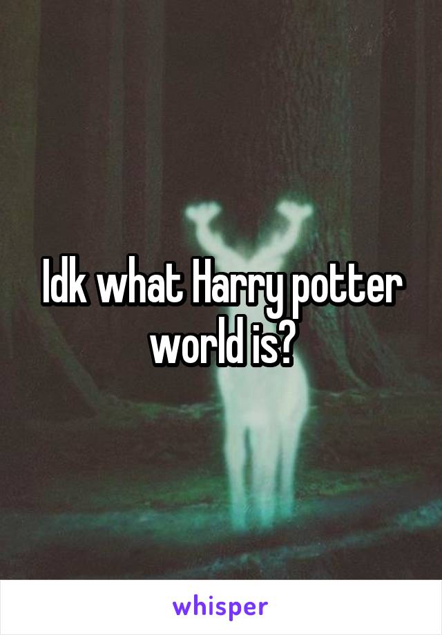 Idk what Harry potter world is?