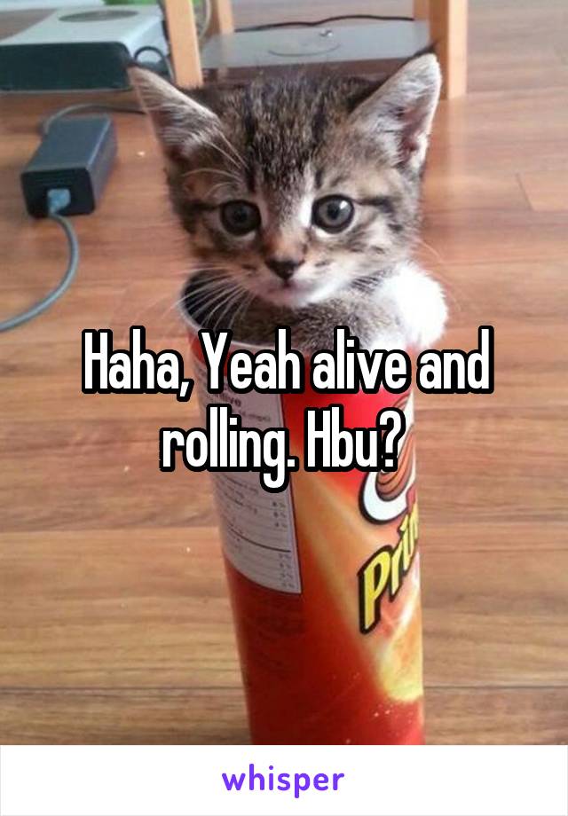 Haha, Yeah alive and rolling. Hbu? 