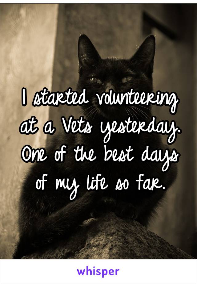 I started volunteering at a Vets yesterday. One of the best days of my life so far.